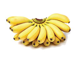 YELLOW BANANA FOR EAT PUKUSA